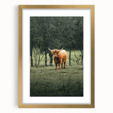 Farmhouse Wall Art – Highland Cow in Lush Field – Rustic Country Decor
