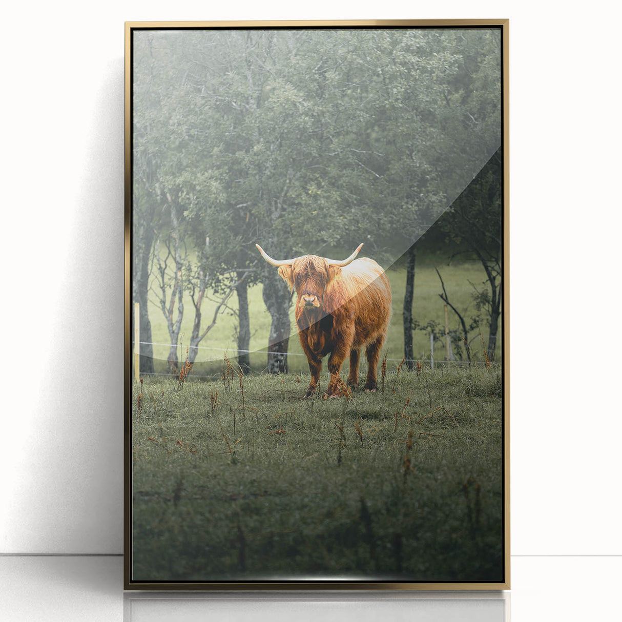 Farmhouse Wall Art – Highland Cow in Lush Field – Rustic Country Decor