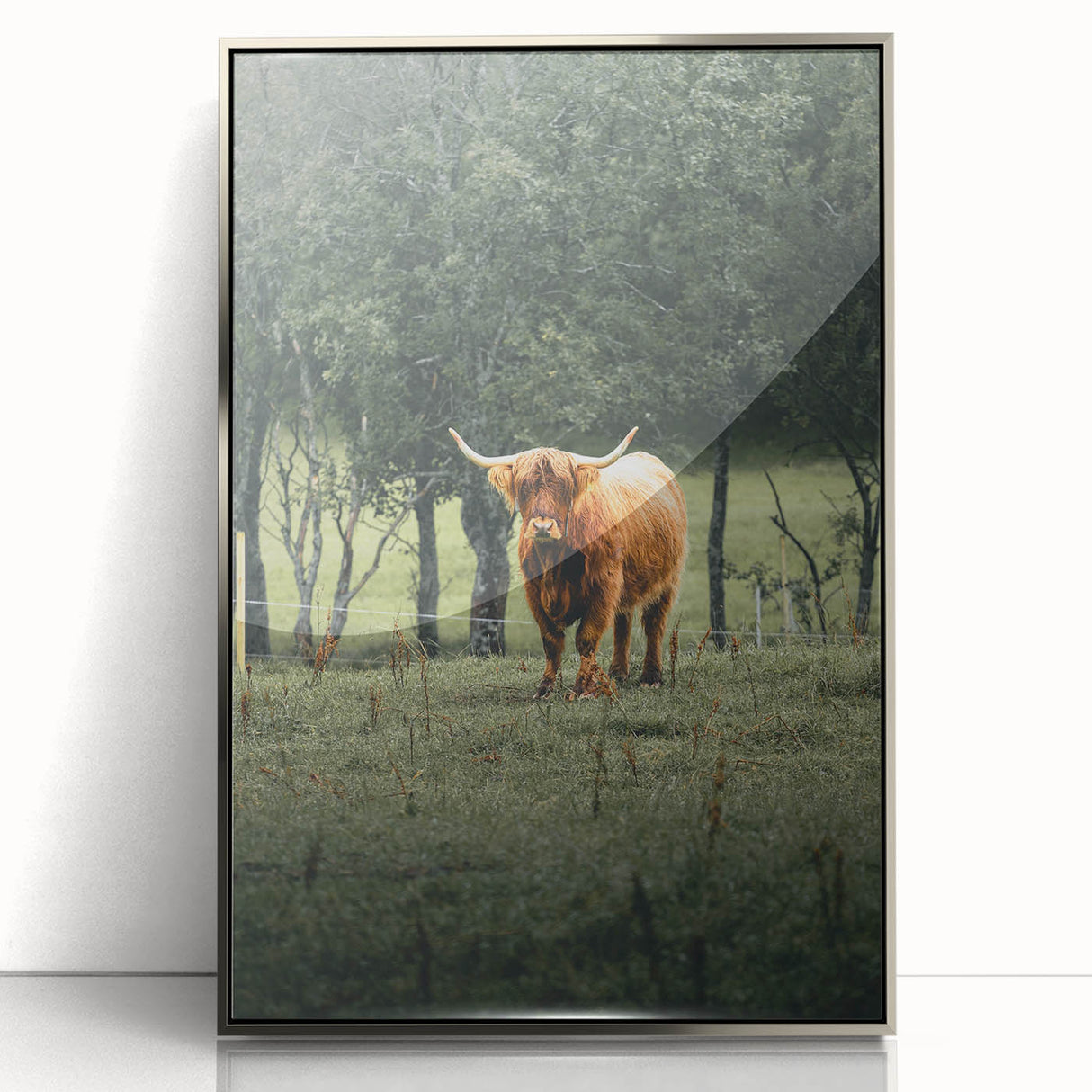 Farmhouse Wall Art – Highland Cow in Lush Field – Rustic Country Decor