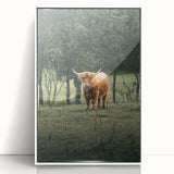 Farmhouse Wall Art – Highland Cow in Lush Field – Rustic Country Decor