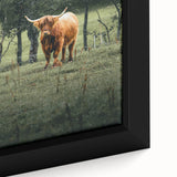 Farmhouse Wall Art – Highland Cow in Lush Field – Rustic Country Decor