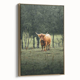Farmhouse Wall Art – Highland Cow in Lush Field – Rustic Country Decor