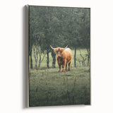 Farmhouse Wall Art – Highland Cow in Lush Field – Rustic Country Decor