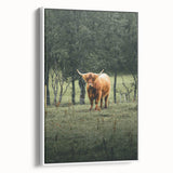 Farmhouse Wall Art – Highland Cow in Lush Field – Rustic Country Decor