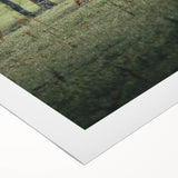 Farmhouse Wall Art – Highland Cow in Lush Field – Rustic Country Decor