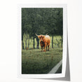 Farmhouse Wall Art – Highland Cow in Lush Field – Rustic Country Decor
