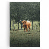 Farmhouse Wall Art – Highland Cow in Lush Field – Rustic Country Decor