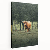 Farmhouse Wall Art – Highland Cow in Lush Field – Rustic Country Decor