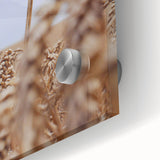 Farmhouse Wall Art – Wheat Stalks Close-Up in Field – Rustic Decor