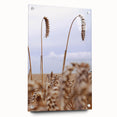 Farmhouse Wall Art – Wheat Stalks Close-Up in Field – Rustic Decor