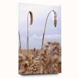 Farmhouse Wall Art – Wheat Stalks Close-Up in Field – Rustic Decor