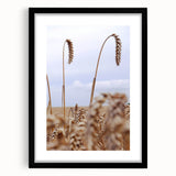 Farmhouse Wall Art – Wheat Stalks Close-Up in Field – Rustic Decor