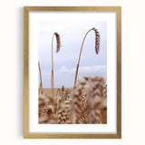 Farmhouse Wall Art – Wheat Stalks Close-Up in Field – Rustic Decor