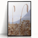 Farmhouse Wall Art – Wheat Stalks Close-Up in Field – Rustic Decor