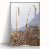 Farmhouse Wall Art – Wheat Stalks Close-Up in Field – Rustic Decor