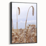 Farmhouse Wall Art – Wheat Stalks Close-Up in Field – Rustic Decor