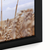 Farmhouse Wall Art – Wheat Stalks Close-Up in Field – Rustic Decor
