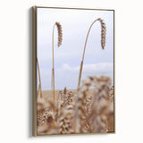 Farmhouse Wall Art – Wheat Stalks Close-Up in Field – Rustic Decor