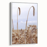 Farmhouse Wall Art – Wheat Stalks Close-Up in Field – Rustic Decor