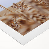 Farmhouse Wall Art – Wheat Stalks Close-Up in Field – Rustic Decor