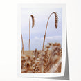 Farmhouse Wall Art – Wheat Stalks Close-Up in Field – Rustic Decor