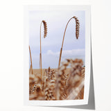 Farmhouse Wall Art – Wheat Stalks Close-Up in Field – Rustic Decor