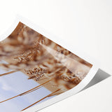 Farmhouse Wall Art – Wheat Stalks Close-Up in Field – Rustic Decor