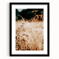 Farmhouse Wall Art Dry Field Print | Rustic Country Harvest Style Decor