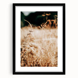Farmhouse Wall Art Dry Field Print | Rustic Country Harvest Style Decor
