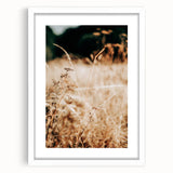 Farmhouse Wall Art Dry Field Print | Rustic Country Harvest Style Decor