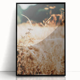 Farmhouse Wall Art Dry Field Print | Rustic Country Harvest Style Decor