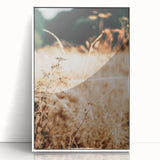 Farmhouse Wall Art Dry Field Print | Rustic Country Harvest Style Decor