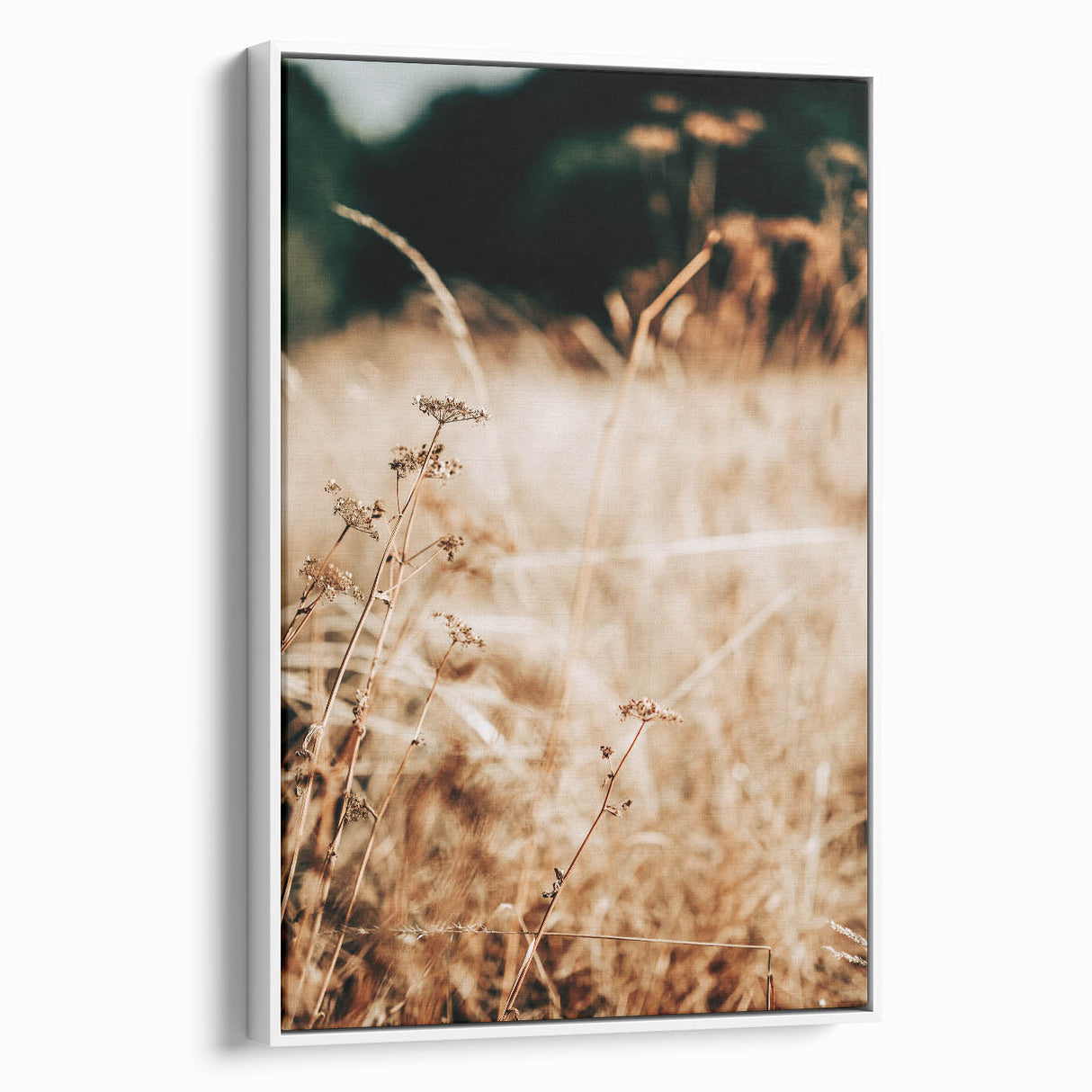 Farmhouse Wall Art Dry Field Print | Rustic Country Harvest Style Decor