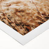 Farmhouse Wall Art Dry Field Print | Rustic Country Harvest Style Decor