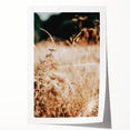 Farmhouse Wall Art Dry Field Print | Rustic Country Harvest Style Decor
