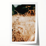 Farmhouse Wall Art Dry Field Print | Rustic Country Harvest Style Decor