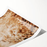 Farmhouse Wall Art Dry Field Print | Rustic Country Harvest Style Decor