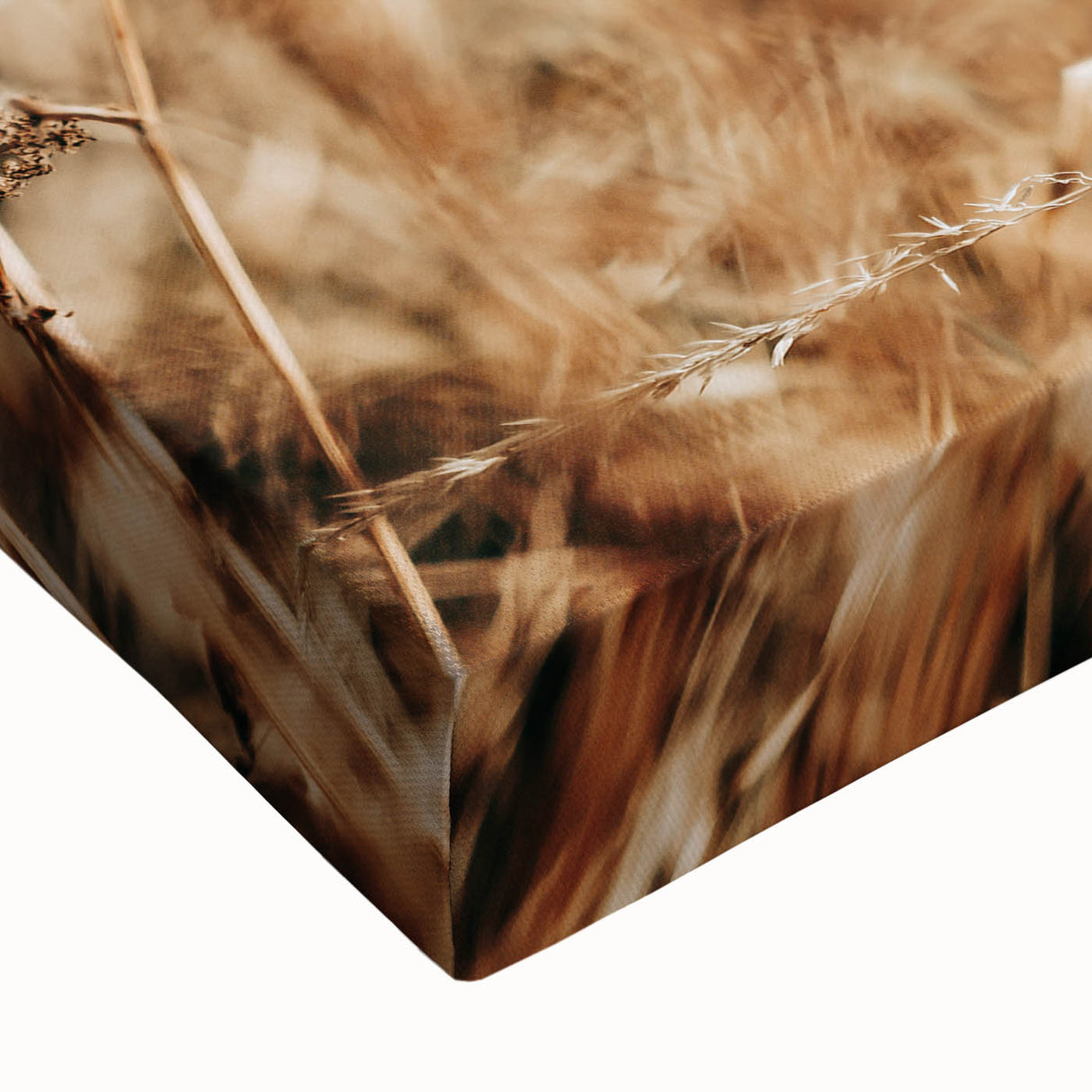 Farmhouse Wall Art Dry Field Print | Rustic Country Harvest Style Decor