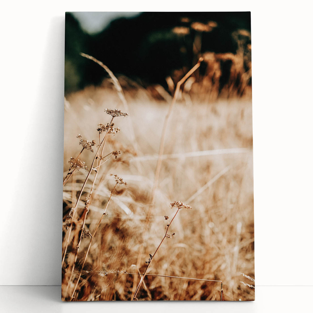 Farmhouse Wall Art Dry Field Print | Rustic Country Harvest Style Decor