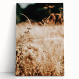 Farmhouse Wall Art Dry Field Print | Rustic Country Harvest Style Decor