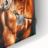 Farmhouse Wall Art – Elegant Horse Portrait – Rustic Country Decor