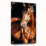 Farmhouse Wall Art – Elegant Horse Portrait – Rustic Country Decor