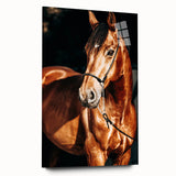 Farmhouse Wall Art – Elegant Horse Portrait – Rustic Country Decor