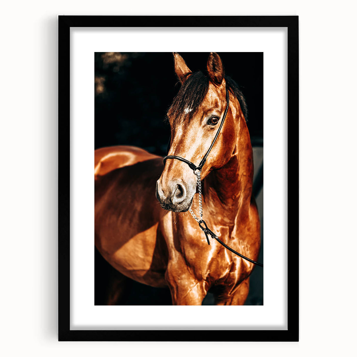 Farmhouse Wall Art – Elegant Horse Portrait – Rustic Country Decor
