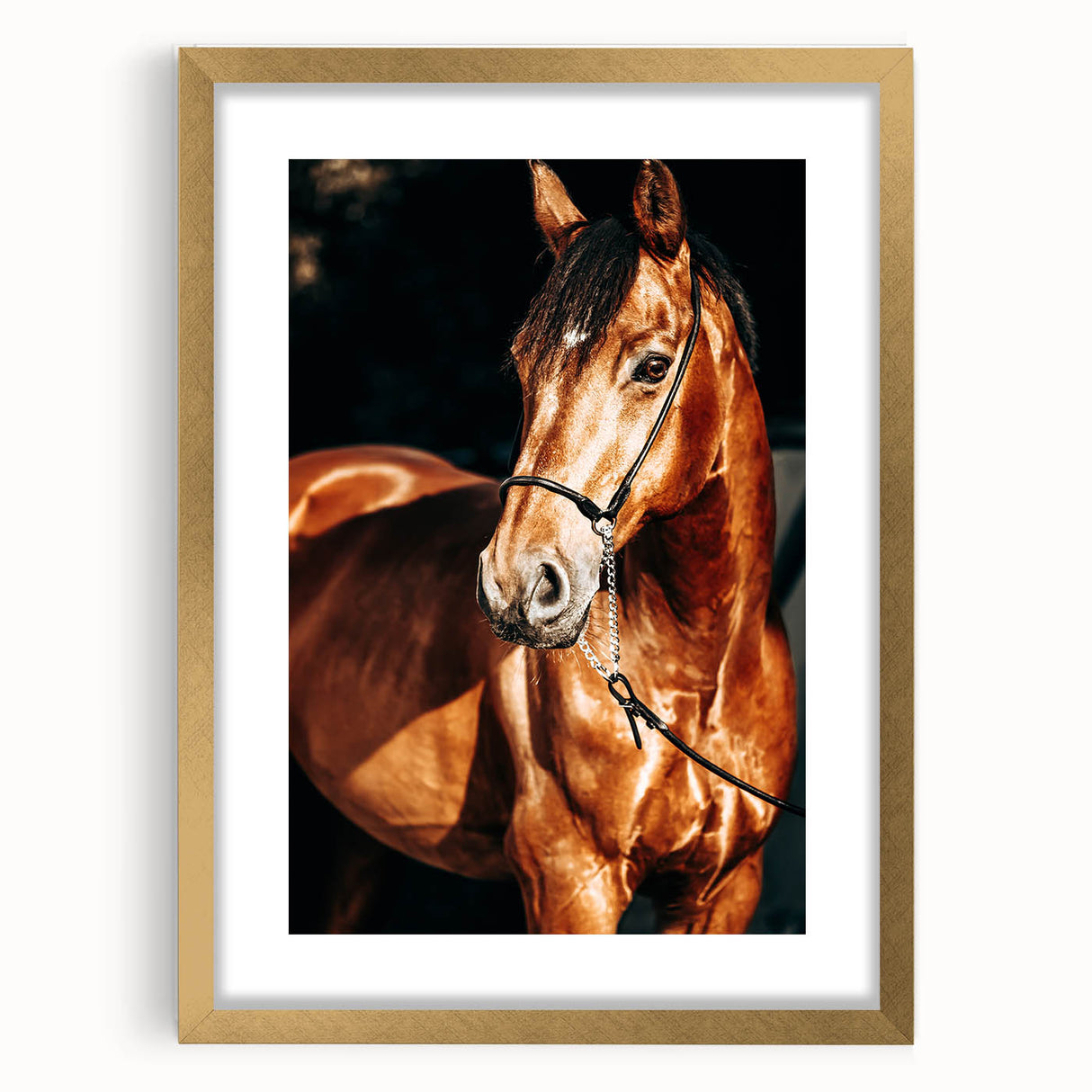 Farmhouse Wall Art – Elegant Horse Portrait – Rustic Country Decor