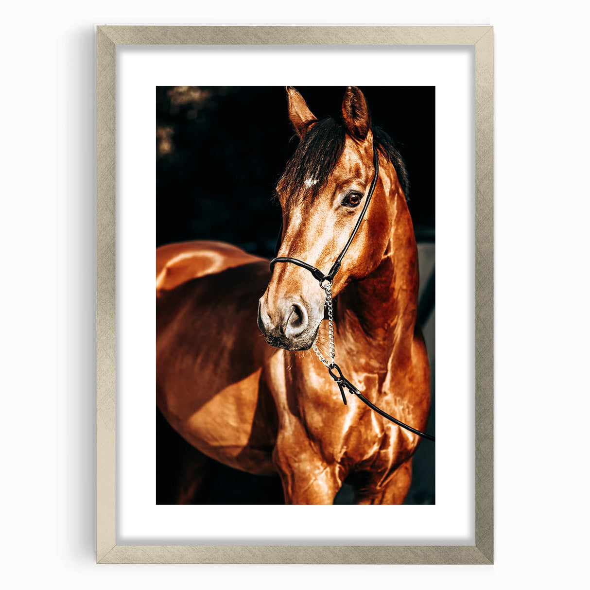 Farmhouse Wall Art – Elegant Horse Portrait – Rustic Country Decor