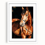 Farmhouse Wall Art – Elegant Horse Portrait – Rustic Country Decor