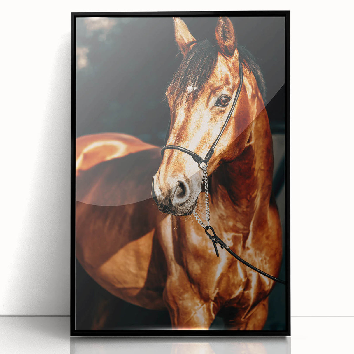 Farmhouse Wall Art – Elegant Horse Portrait – Rustic Country Decor
