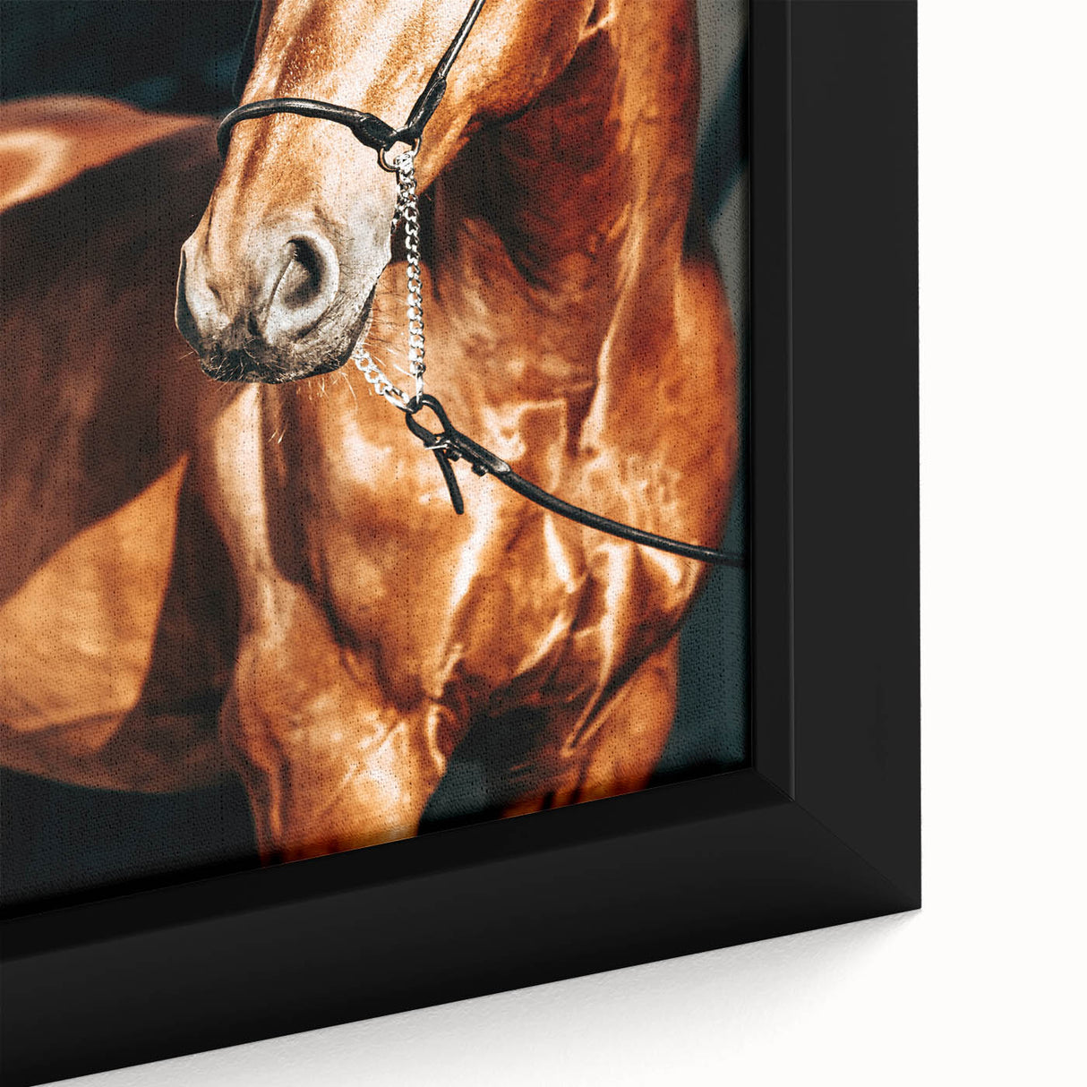 Farmhouse Wall Art – Elegant Horse Portrait – Rustic Country Decor