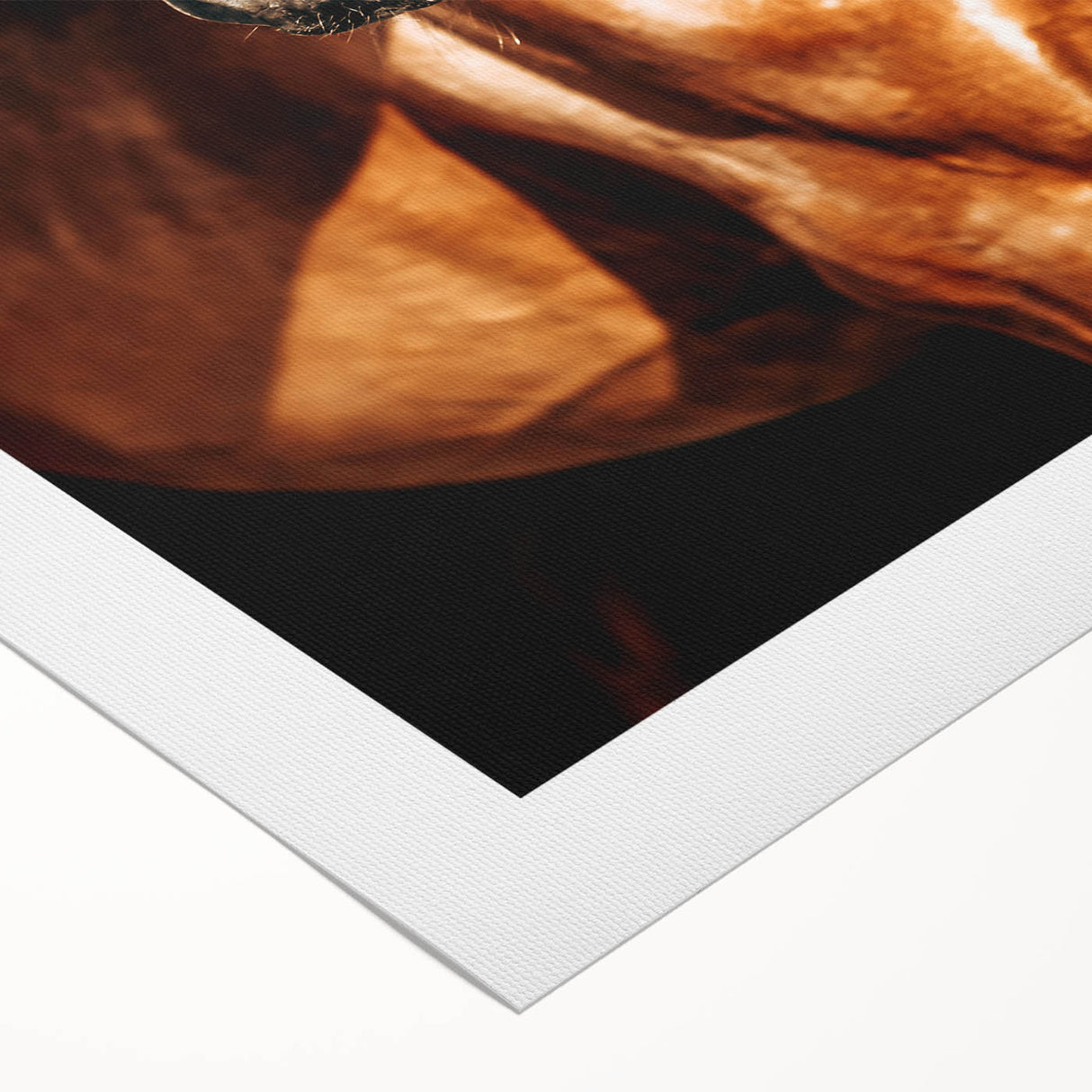 Farmhouse Wall Art – Elegant Horse Portrait – Rustic Country Decor